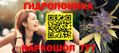 гидропоника Тара