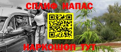 гидропоника Тара