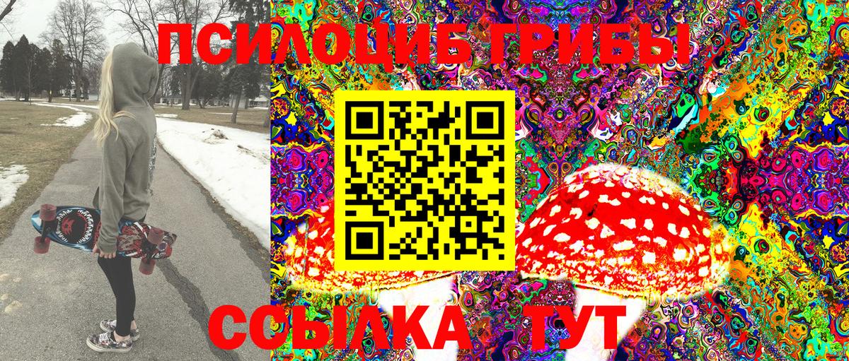 Павловский Посад  Псилоцибиновые грибы GOLDEN TEACHER  Вход с VPN 