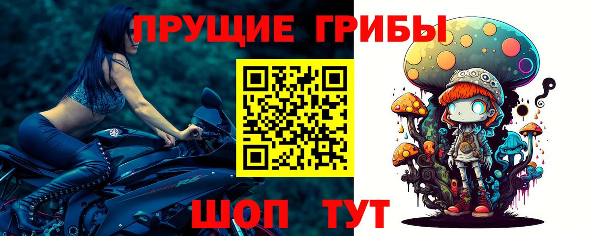 Псилоцибиновые грибы Magic Shrooms Павловский Посад